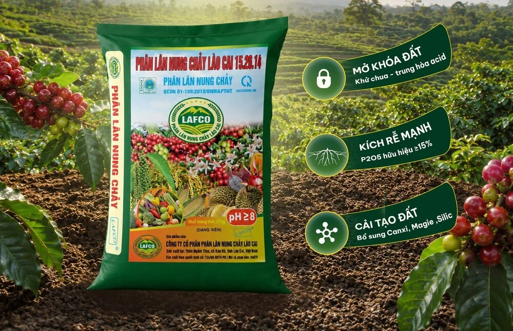 Phân lân nung chảy